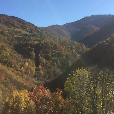 Le Papillon De Montsegur * Montferrier